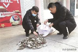 白城市森林公安局破获一起非法狩猎案图片