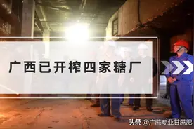 截止昨日，广西四家糖厂开榨图片