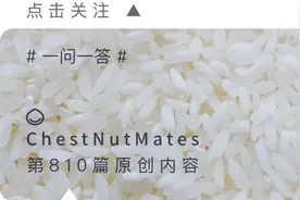 二两饭和二两面，哪个热量高？原来这么多年都误会了图片