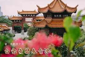 武汉这些公园已恢复开放！图片