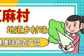内蒙太仆寺旗游记图片