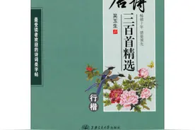 路在脚下，利辛县马店孜镇走走看看图片
