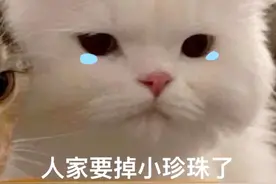 表情包：人家要掉小珍珠了图片