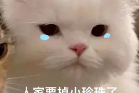 表情包：人家要掉小珍珠了图片
