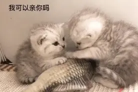 亲额头那个也太甜了图片