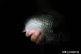 夜钓中的3个小故事，当时就收竿走人，心理暗示真可怕图片