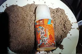 冰糖山楂盘黑坑图片