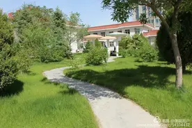 嘉峪关市中医医院门诊就诊告知书图片