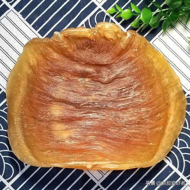 花胶比较大是正常的吗 花胶大的好还是小的好?