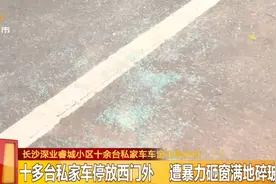事发凌晨！满地碎玻璃，长沙一小区十余台私家车车窗被砸图片