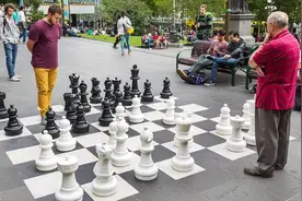 “象棋里白棋先走，所以是种族歧视！”图片