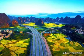 广西2020年度国有自然资源资产管理情况专项报告图片