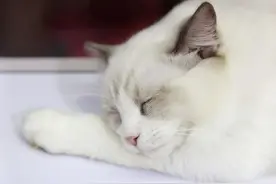 失眠，其实是自己的心情在打扰自己的身体图片
