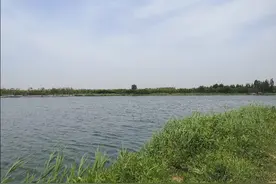 又发现济南市区隐藏的一个好地方，周末钓鱼野餐好去处图片