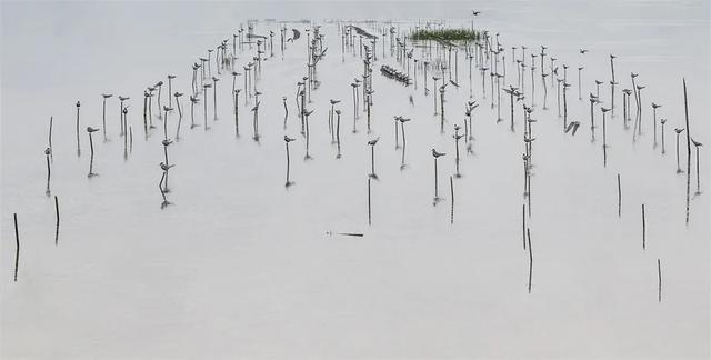 图赏 | 摄影如奇遇,有心得相逢