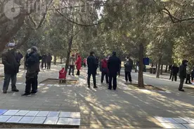 过年催婚记｜一位“老父亲”的心声：32岁不结婚，是一种失败图片