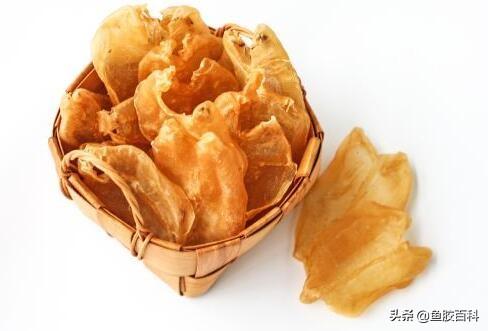 花胶有虫可以吃吗 2025年花胶有虫子可以吃吗?