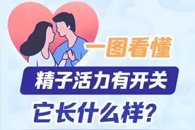 一图读懂 | 精子活力有开关 你猜它长什么样？图片
