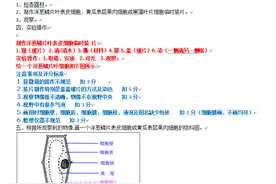 2021年临沂市中考生物实验操作考试试题（附件操作步骤和画图）图片