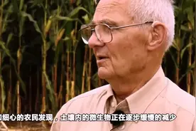 草甘膦，毒害的不仅仅是农田图片