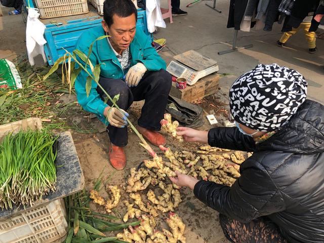 吃不完的生姜切记不要放冰箱，菜农教我土方法，放1年照样新鲜