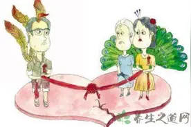 凤凰男与孔雀女：春节跟不跟你回老家？图片