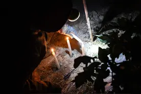 一吨煤卖2000寒流下温室果蔬该何从，温州农民神操作，棚内点蜡烛图片