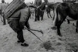 湖南61岁捡粪老汉,因一封表扬信暴露身份,领导惊呼：他是开国将军图片