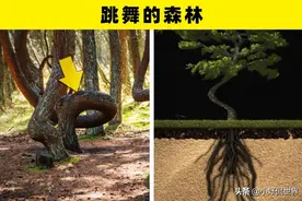 科学难以解释，但真实存在着的8个自然现象图片