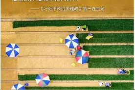 激发制度活力，激活基层经验，激励干部作为图片