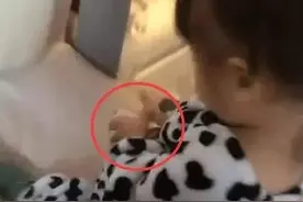 女儿找到老爸“私房钱”，直接上交给妈妈，爸爸：这小棉袄漏风图片