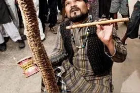 印度幻术通天绳，绳子直直升入天空，小孩爬绳上天后消失云间图片