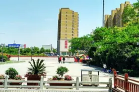 南阳再添一员“虎将”图片