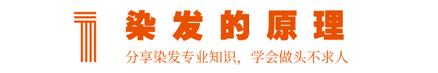 染发时漂发和不漂发有什么不同？四个细节要清楚，免得染完后悔