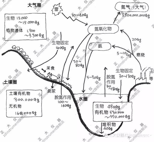 土壤中的氮循环