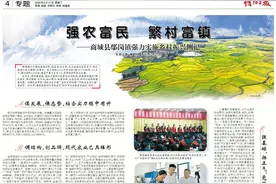 强农富民 繁村富镇——商城县鄢岗镇强力实施乡村振兴侧记图片