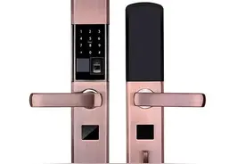 谈谈指纹锁的安全性与实用性，必看。图片