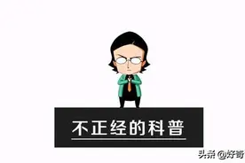 一个资深沙雕珍藏的100张爆笑沙雕图图片