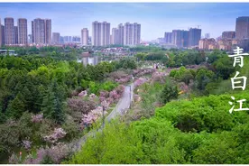 高甜预警！青白江和广汉这对“城市CP”的亲昵对话曝光图片