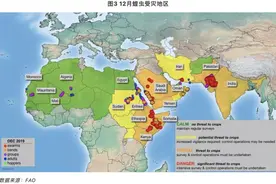 蝗虫——明明很弱小的直翅目弟弟咋还能成灾呢？图片