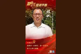 【最美信访干部】秉持初心 服务信访群众 我将无我 不负党和人民——记武汉市信访局综合指导处处长程诚图片