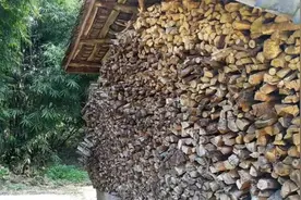 关于淮安小区门面租金去哪儿了？白果罗盘村有没有拆迁计划等图片