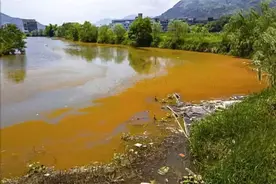 水锈发生原理及其应对办法：底质恶化，有机质过多，甲藻裸藻泛滥图片