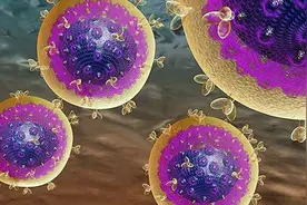 一个酶抹去恐怖记忆图片