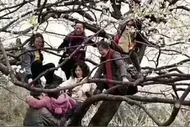 大妈拍照也太野了吧！哈哈哈哈上树、吊车都是什么鬼？哈哈哈哈哈图片