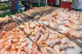 冷冻鸡肉为何那么便宜？能经常吃吗？有没有营养？看完你就明白了图片