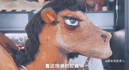 骆驼的驼峰竟然不是用来存水的？那它靠啥在沙漠里笑嘻嘻？