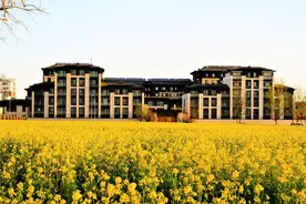 南五环边有片500亩油菜花海！坐地铁就能去图片