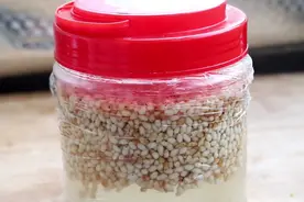 你还在买醋吗？教你个农村土方法，一碗米就能做图片