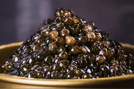 开眼界！《2020福州鱼子酱品鉴指南》来了图片